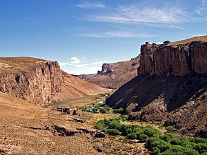 Cañadón del río Pinturas, afluente del Deseado.