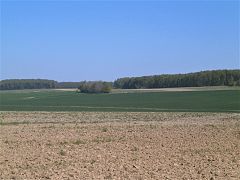 Photographie en couleurs de grandes parcelles agricoles avec une forêt en arrière-plan.