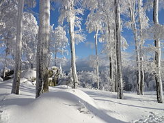 Vaye del Rhin Bavaria