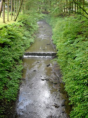 精進場川 2011年8月7日撮影