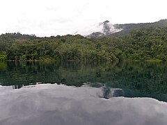 Selva tropical, Selva Lacandona, Chiapas