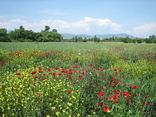 Photographie des environs de Skopje