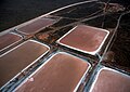 Image 5Aerial view of algae farm ponds for production of beta-carotin, Whyalla, South Australia.