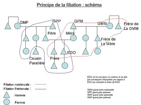 Principe de la filiation : schéma