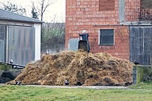 Manure (DFdB).JPG