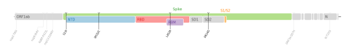 Les mutations du variant Epsilon sur une carte génomique du SARS-CoV-2