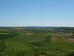 Paysage agricole dans le nord.