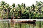 Man paddling a wooden dugout canoe on a flat lagoon surrounded by palm trees