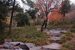 Jingshan in autumn, 2007