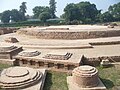 Dharmarajika Stupa from the pre-Ashokan Era