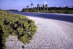 Canle entre o lado oeste de Long Island e a illa de Nake (no fondo)