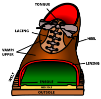 Cutaway view of a typical shoe.