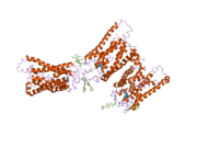 2i36: Crystal structure of trigonal crystal form of ground-state rhodopsin