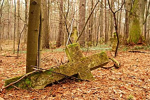 Deel van een Grieks-Katholieke begraafplaats in Podemszczyzna