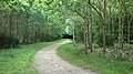 From the forest of Mollerup Skov.