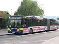 Neoplan Avas kilátó végállomáson 2014-ben