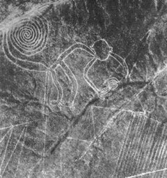 Image illustrative de l’article Géoglyphes de Nazca