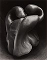 Image 102Pepper No. 30, by Edward Weston (edited by Bammesk) (from Wikipedia:Featured pictures/Artwork/Others)