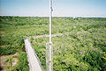 View of the boardwalk leading to the Preserve's observation tower