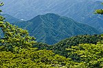 鳥ノ胸山山頂部