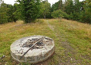 Kvarnkullen i Ulriksdals naturreservat