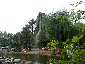 Zoo de la Palmyre w Les Mathes