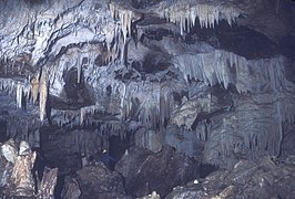 List of caves in Jamaica – Coffee River Cave