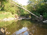 A stream in German Mills Settlers Park