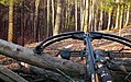 Modern hunting crossbow