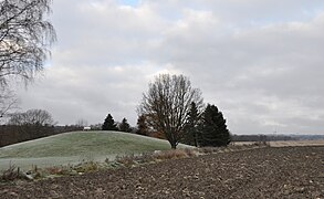 Oseberg Mound, where the 9th century 22-metre Oseberg Ship was discovered