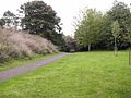 Site of Icknield Port Road Station in Summerfield Park.