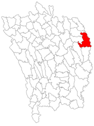 Location in Vaslui County