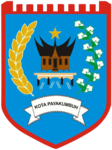 Payakumbuh City