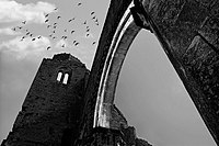 Ruins of the medieval Catholic church of Arač (Aracs) near Novi Bečej, 13th century Author: Gstamenko