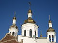 Ukrainian Orthodox Cathedral of St. Vladimir