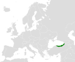 Ponto (geografio) (Tero)