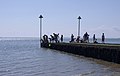 2015-01-25 Children fish from a jetty at Southend.