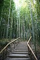 한국어: 담양 죽녹원 English: Jungnogwon, the bamboo garden in Damyang