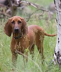 A female in the field