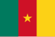 Drapeau du Cameroun