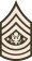 Sergeant Major of the Army