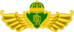 Coat of arms of the Pakualaman, a monarchy within the greater Yogyakarta Sultanate