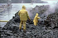 Exxon Valdez spilled 10.8 million US gallons (41,000 m3) of oil into Alaska's Prince William Sound.[121]