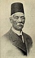 سعد زغلول