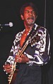 Image 76Luther Allison (from List of blues musicians)