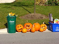 Citrouilles d’Halloween, après la fête.