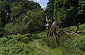 2014-07-21 A dead tree near Aira Force.