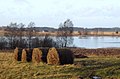 Ķikuri järv