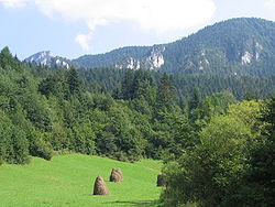 Malá Fatra – Vrátna dolina