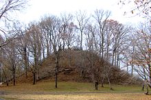 Pinson-mounds-sauls-mound.jpg